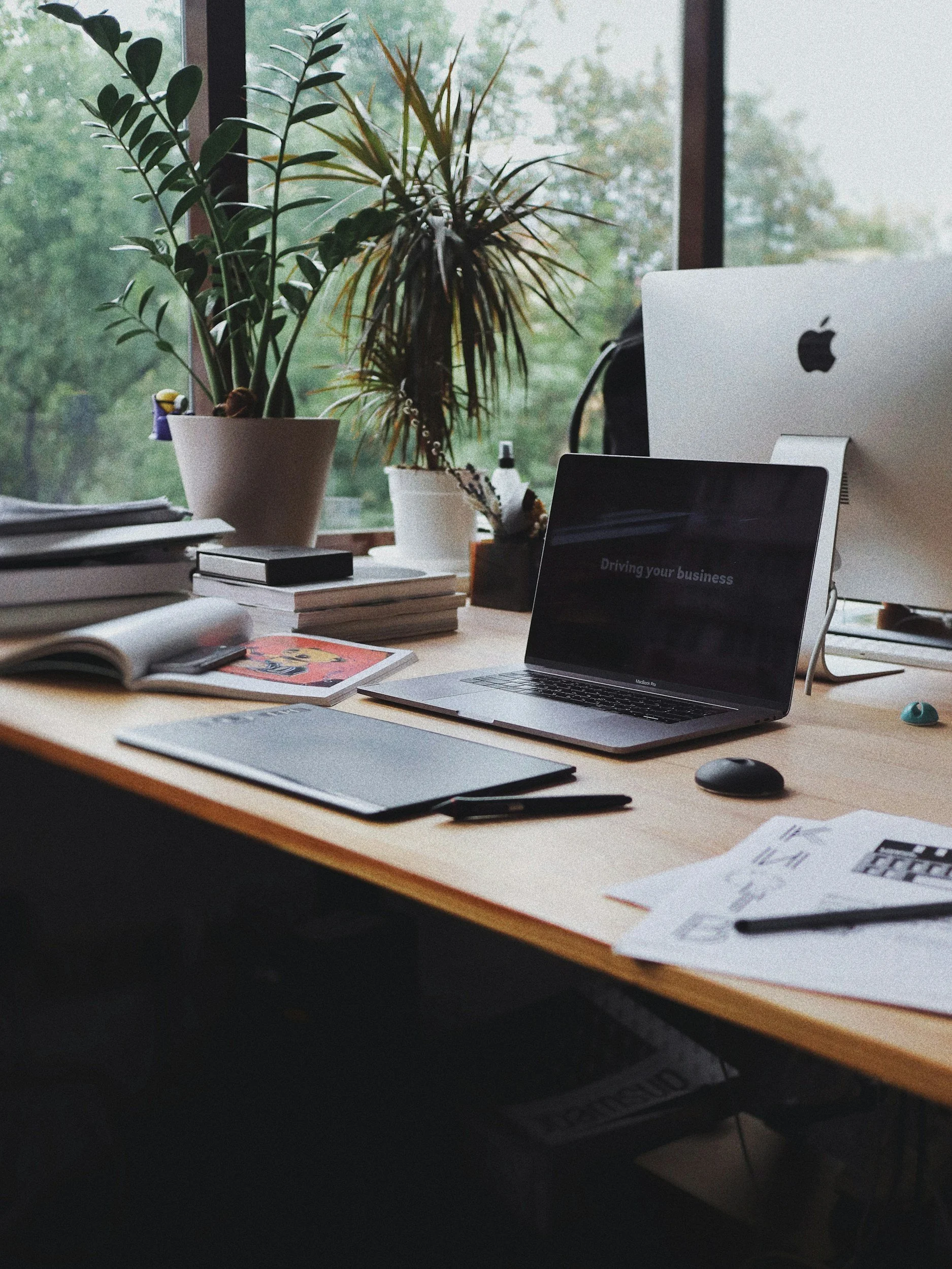 Workspace with laptop and plants